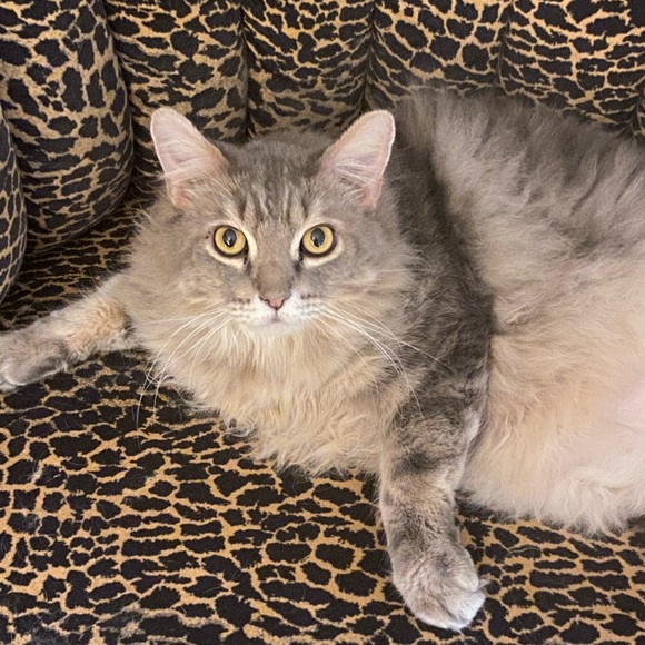 Meet your Posher, Val - Picture 5 of 12